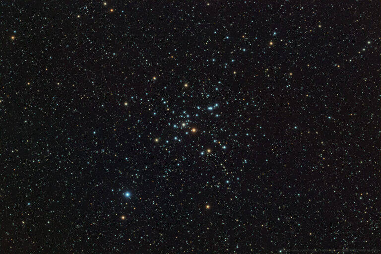 M 41