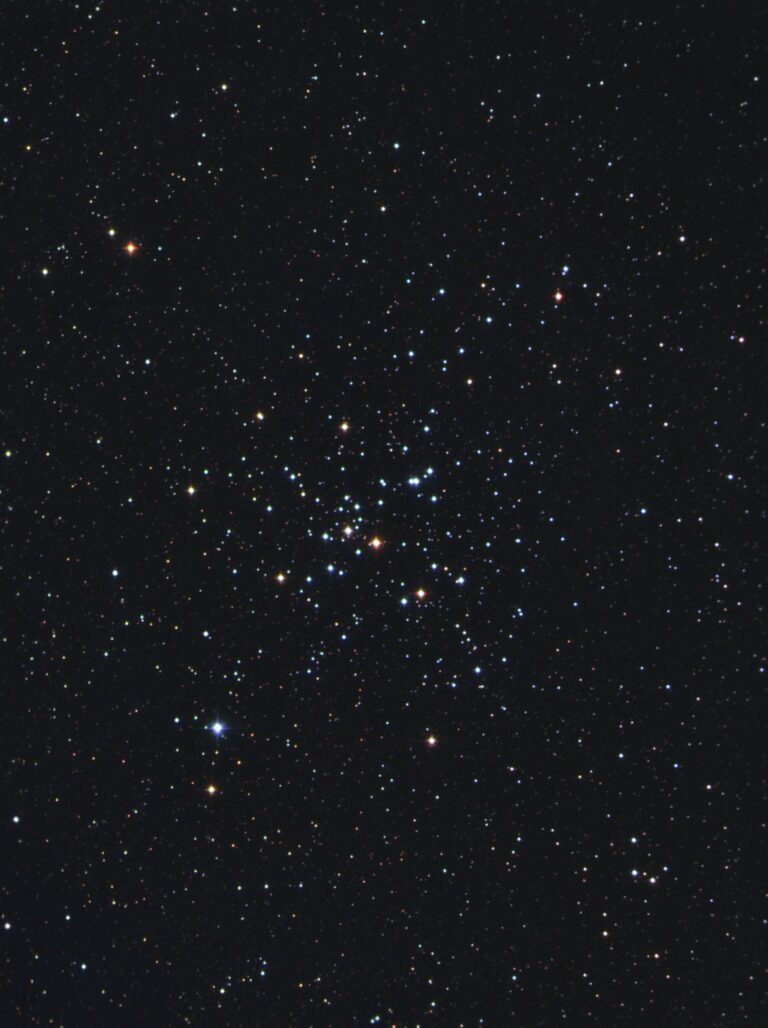 M 41