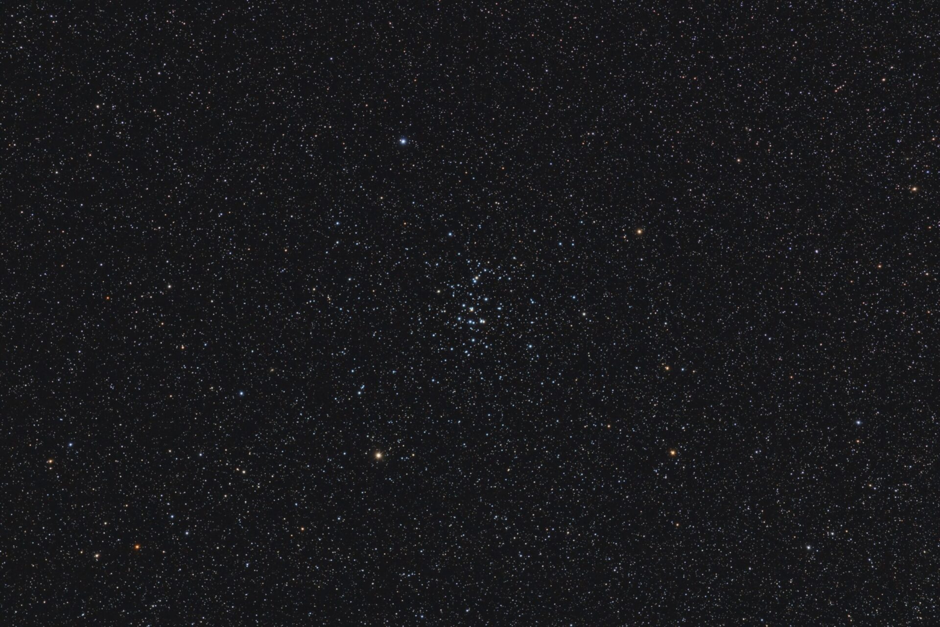 M 44