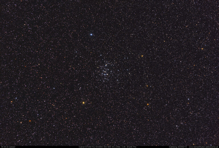 M 44