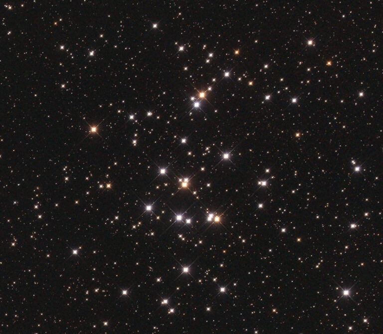 M 44