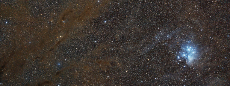 M 45