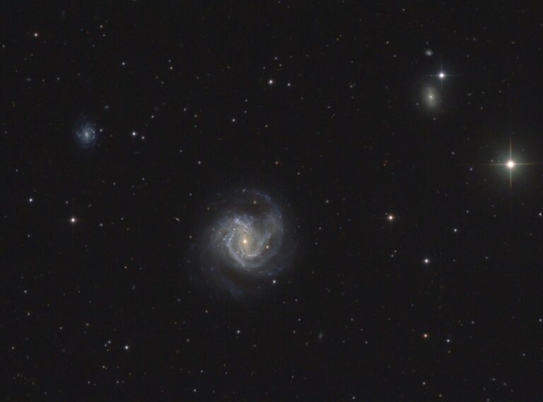 M 61