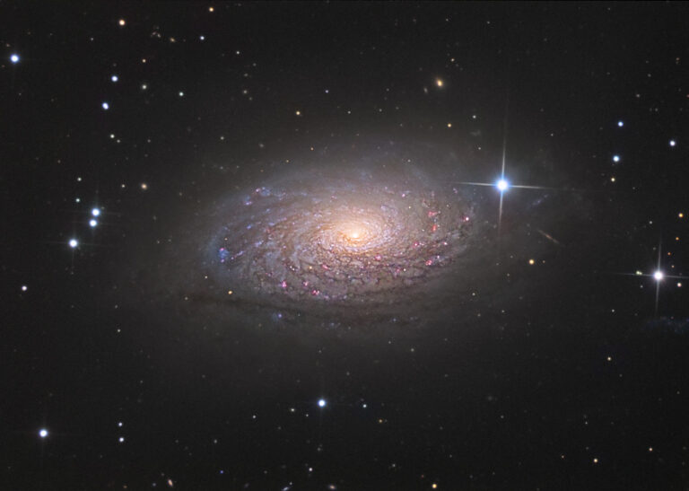 M 63
