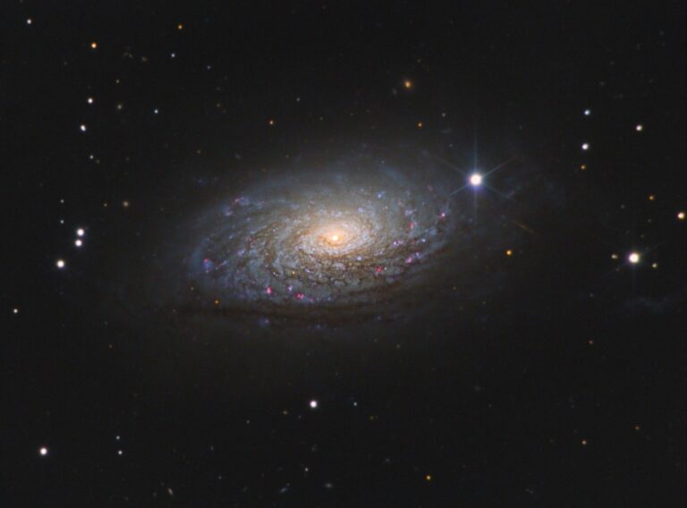 M 63