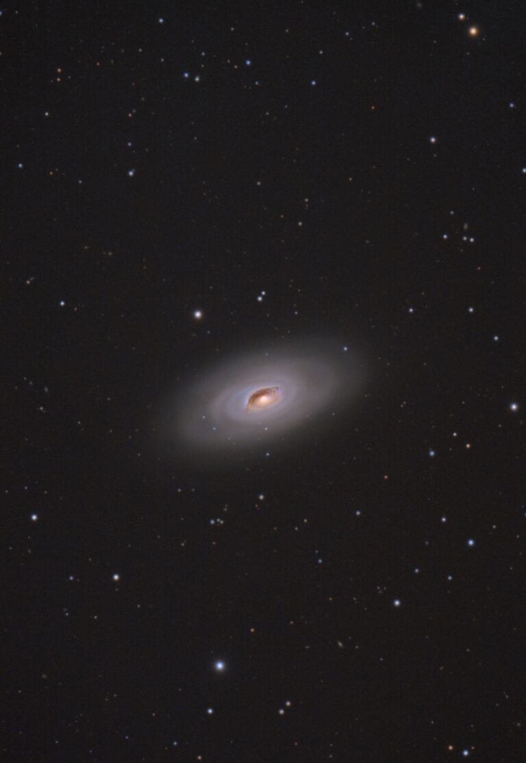 M 64