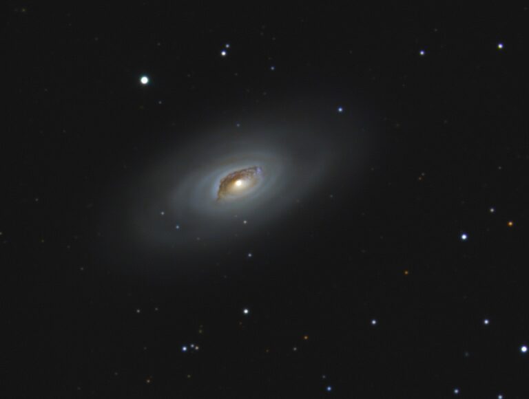 M 64