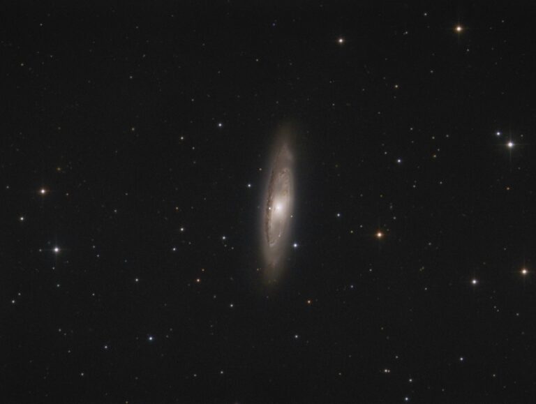 M 65