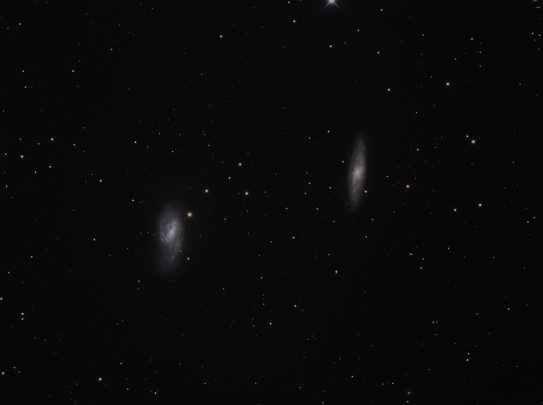M 65