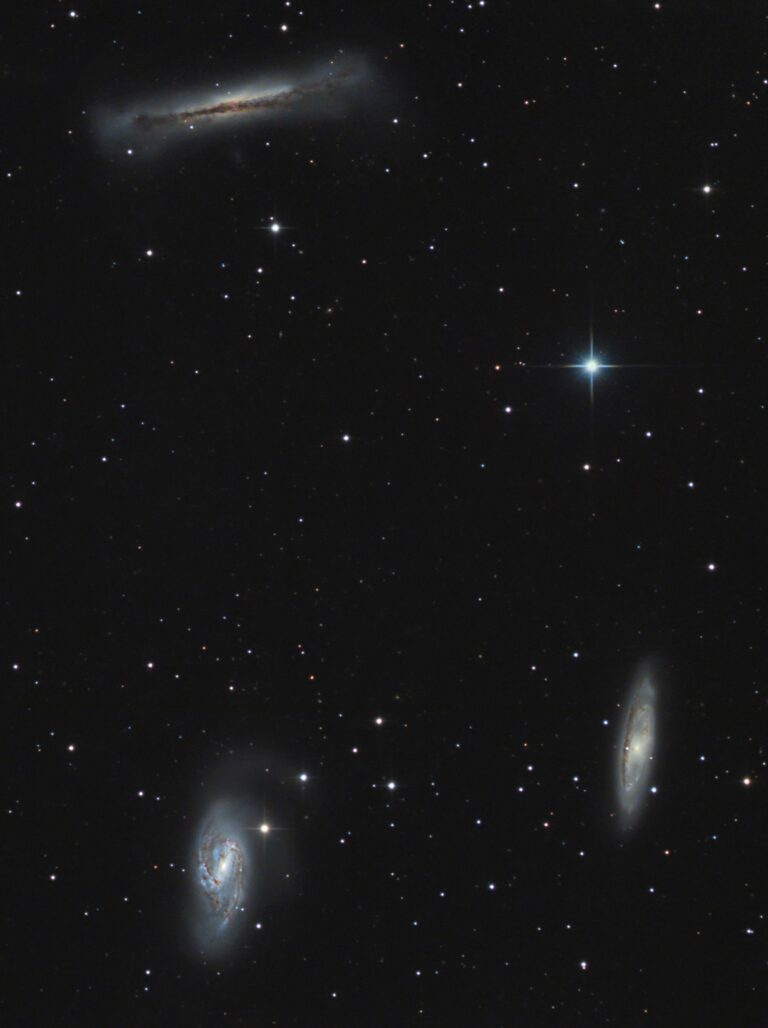 M 65