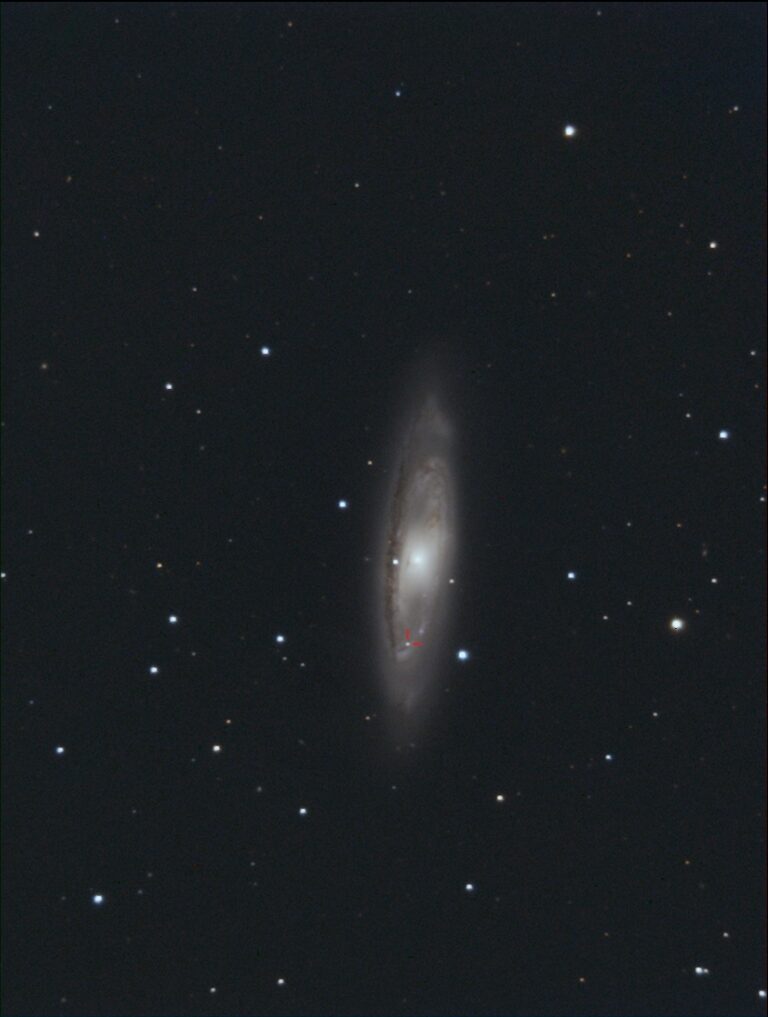 M 65