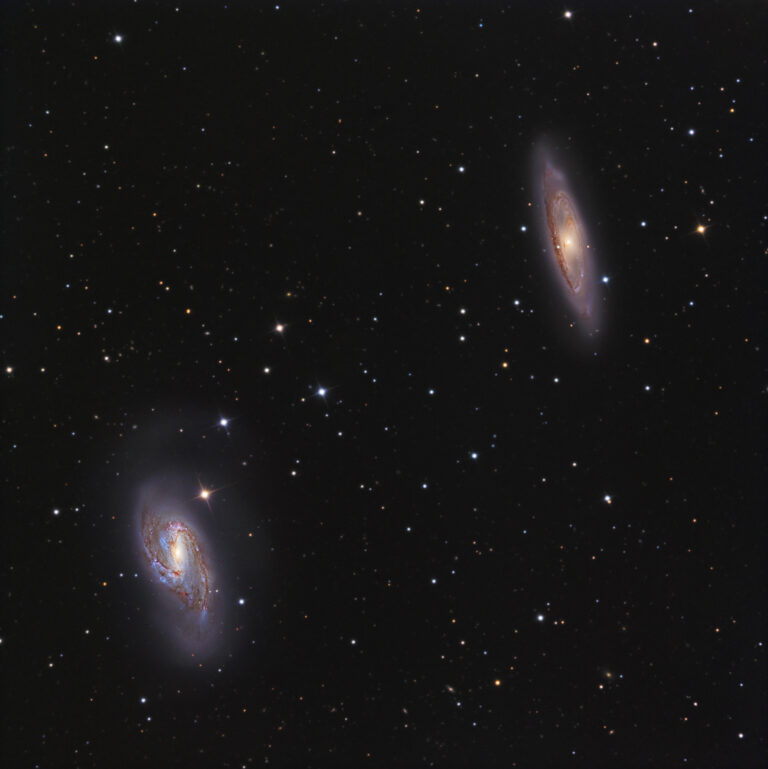 M 65