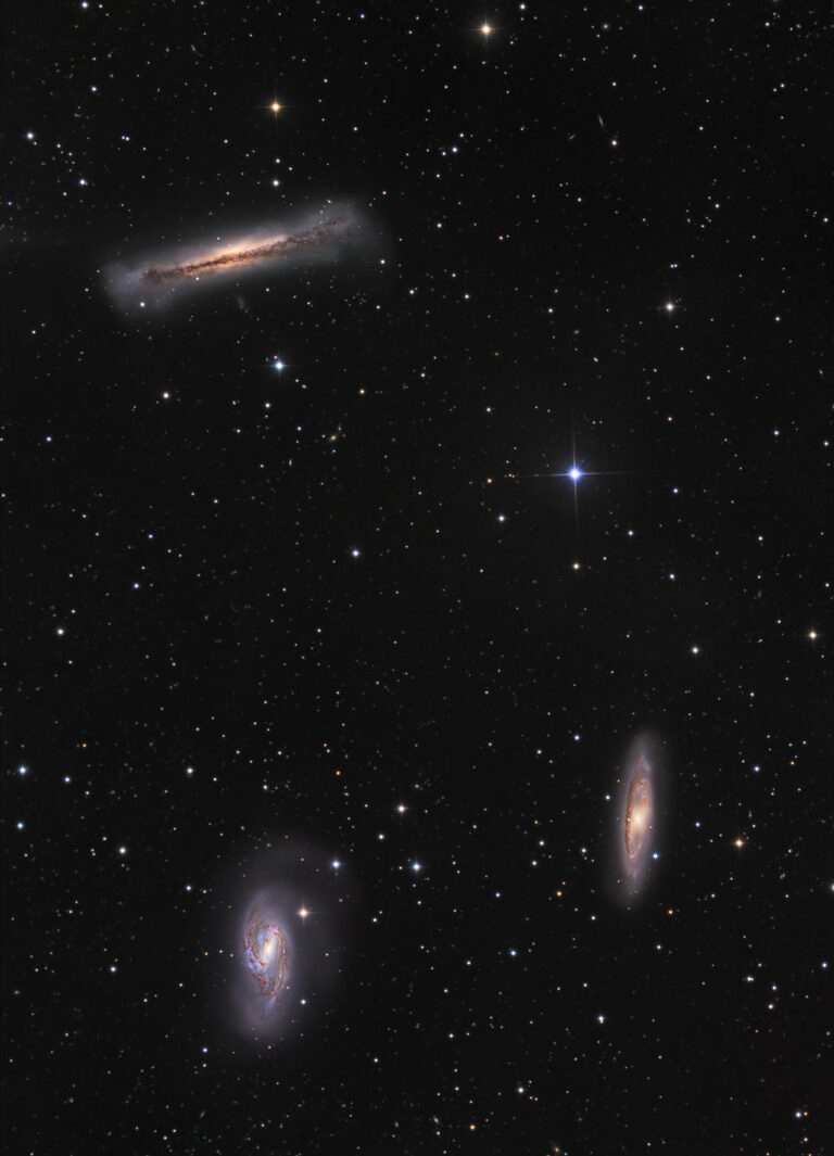 M 65