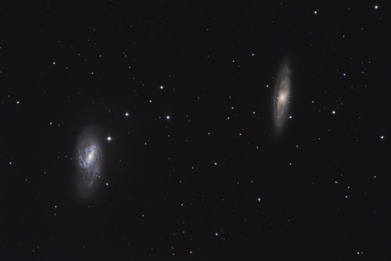 M 65