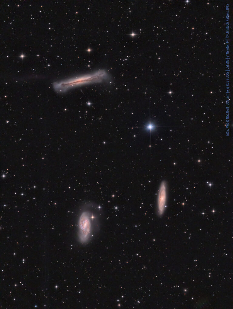 M 65