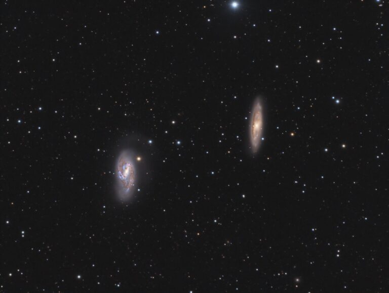 M 65