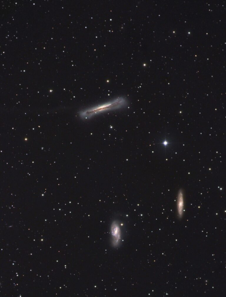 M 65