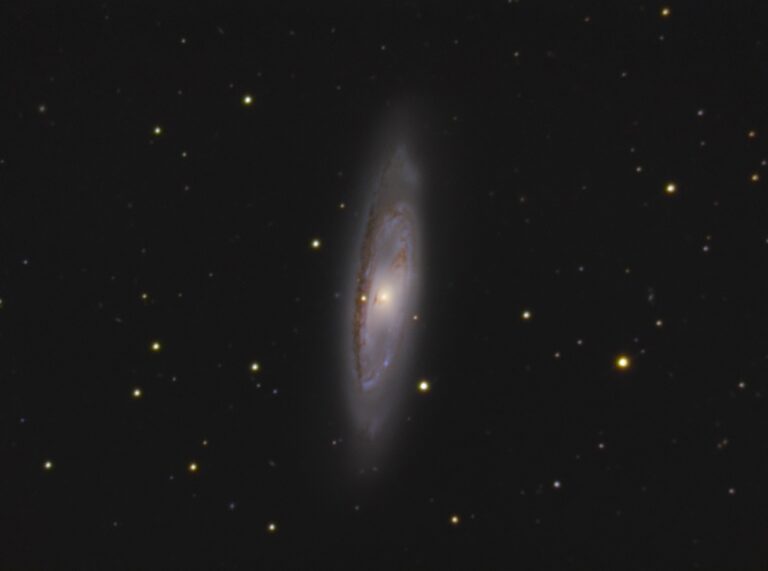M 65