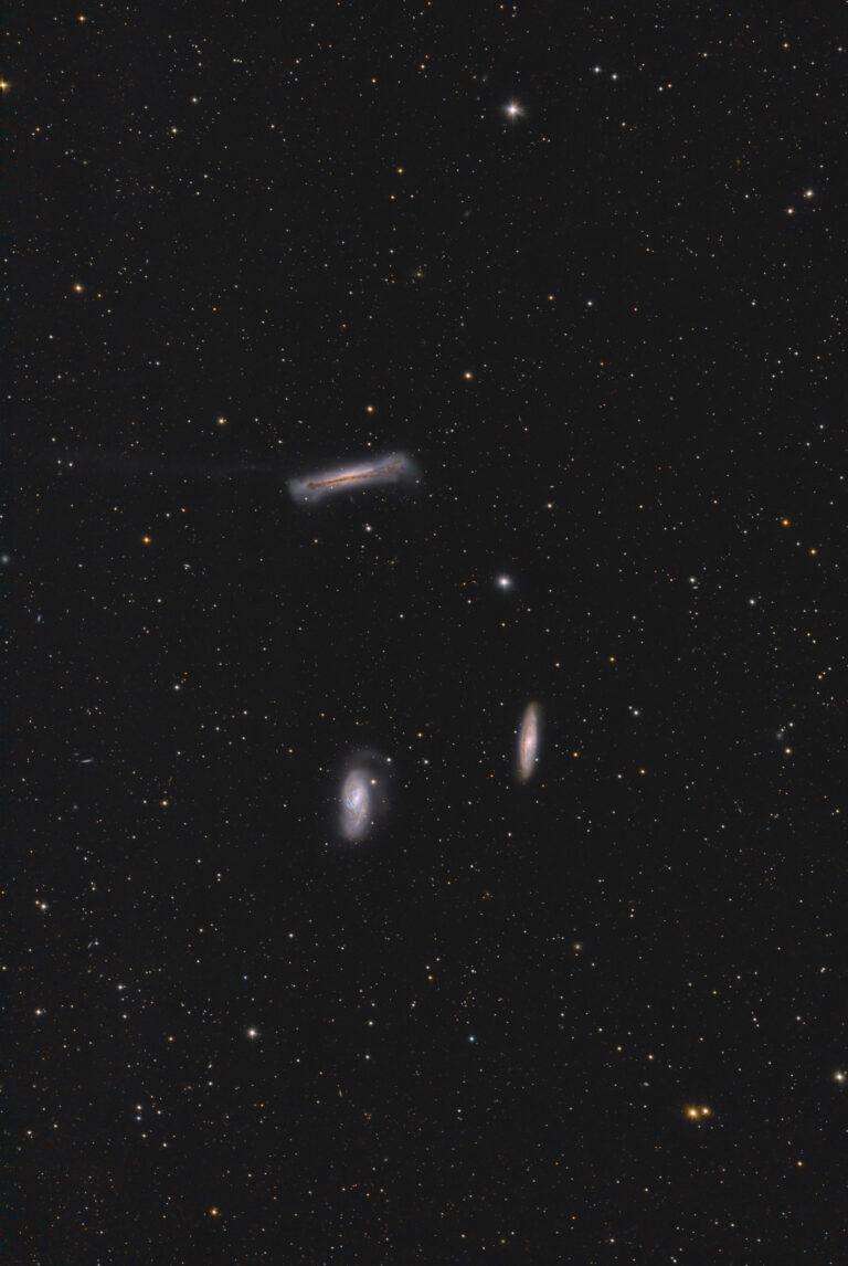 M 65