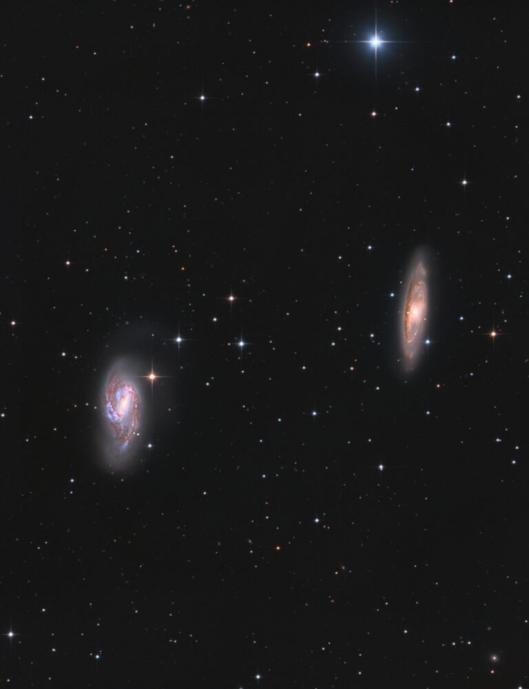 M 65