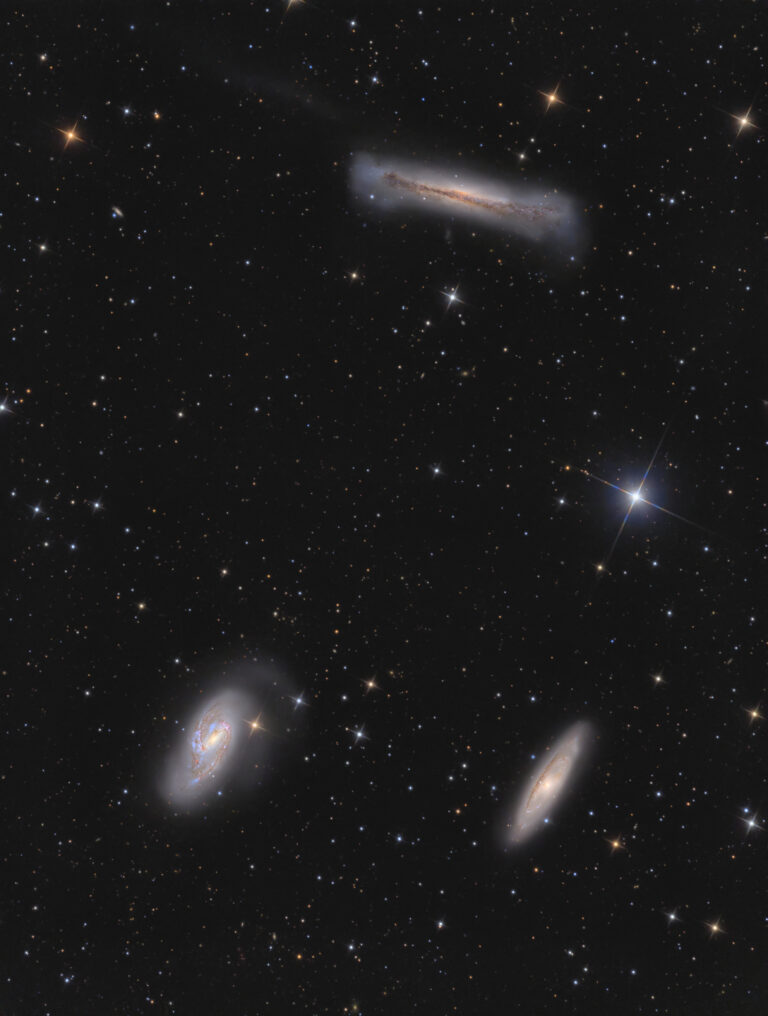 M 65