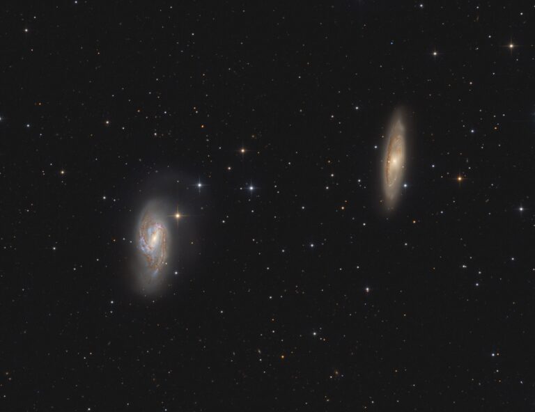 M 65