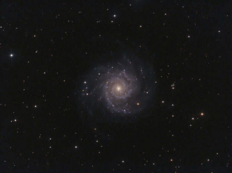 M 74
