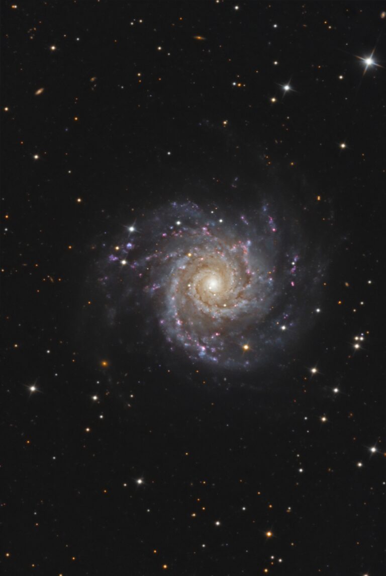 M 74