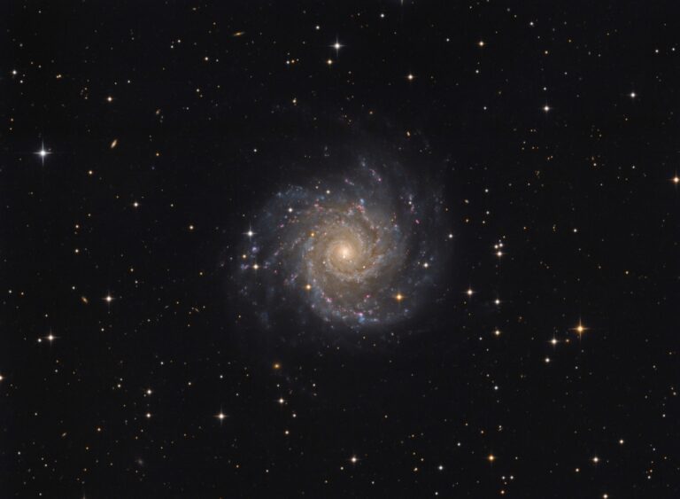 M 74