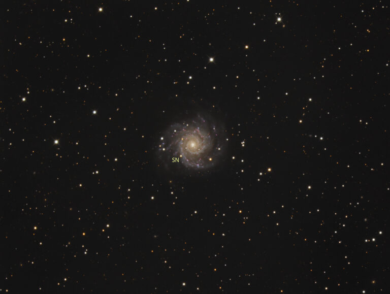 M 74