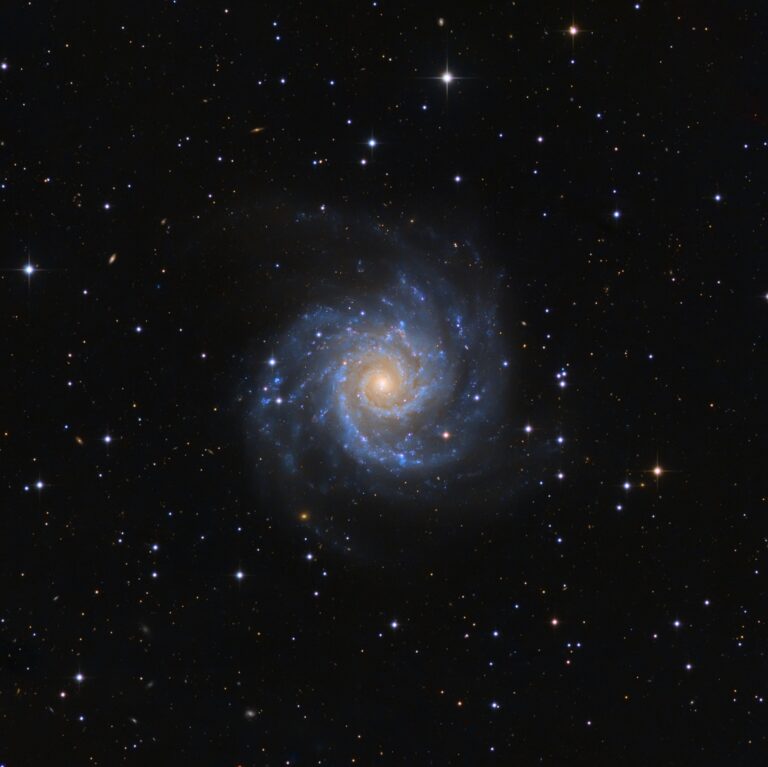 M 74