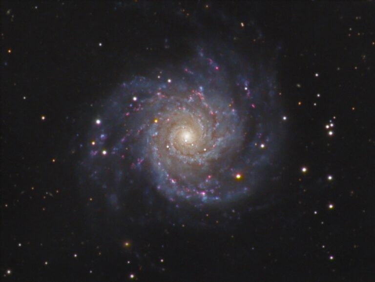 M 74