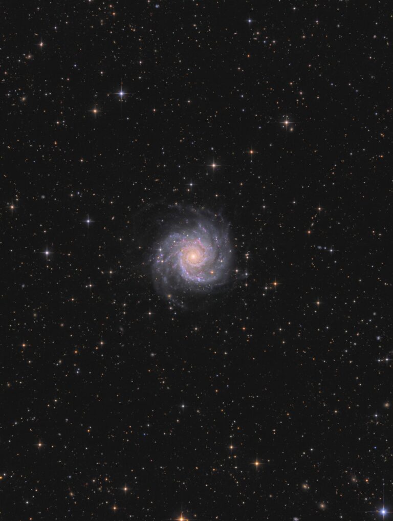 M 74