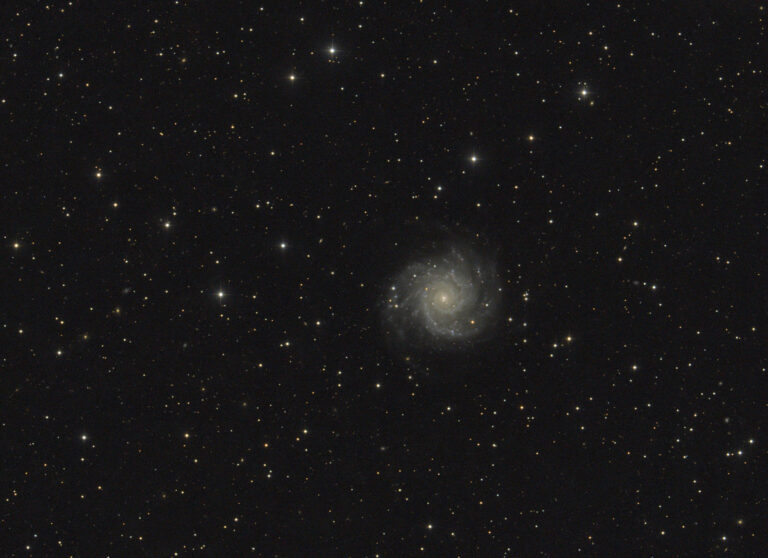 M 74