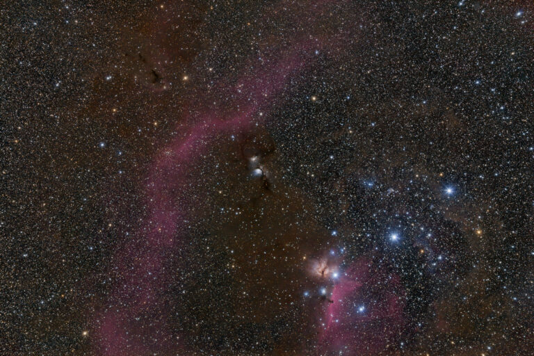 M 78