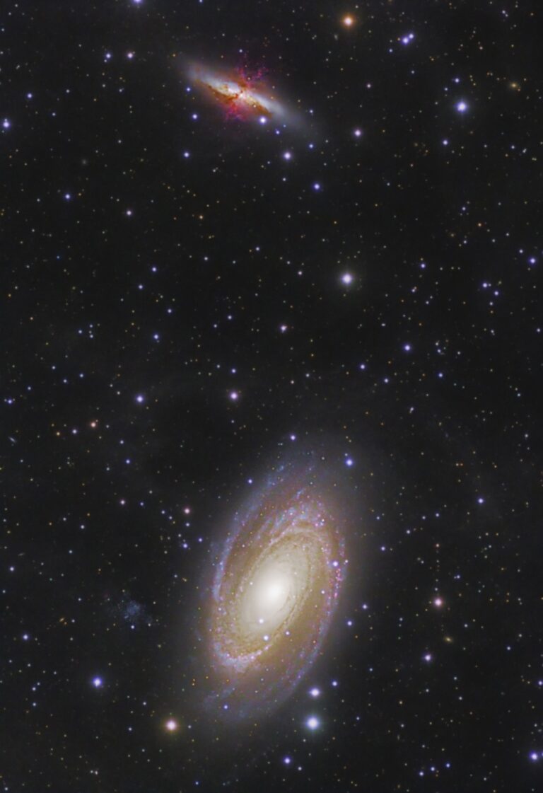 M 81