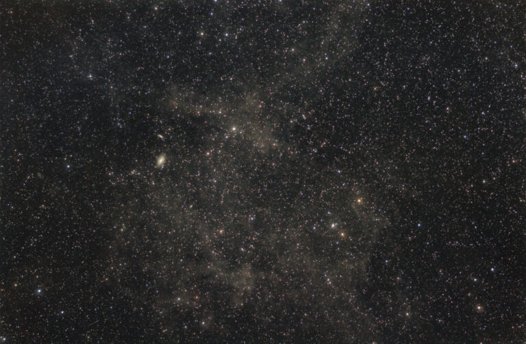 M 81