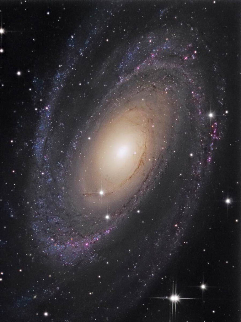M 81