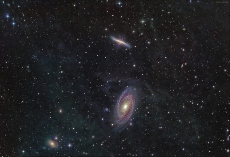 M 81