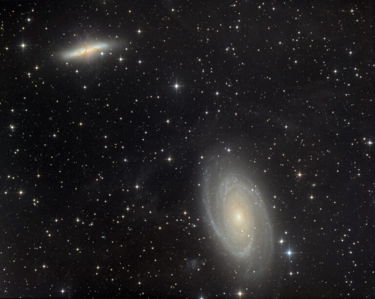 M 81