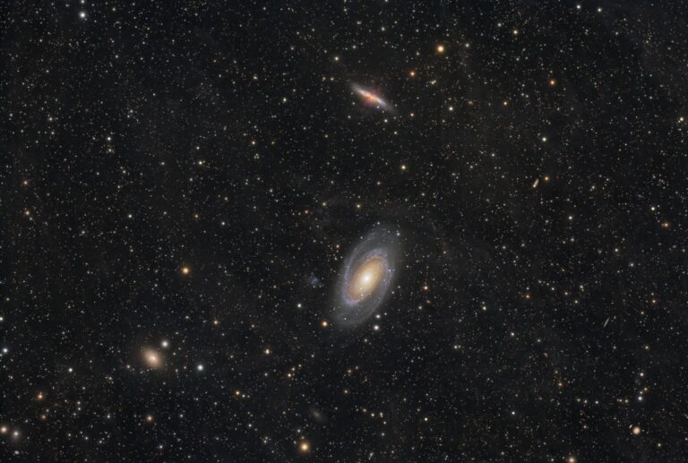 M 81