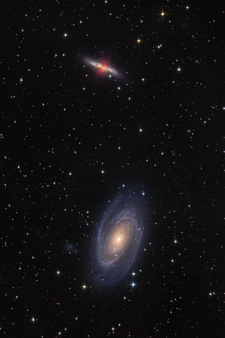 M 81