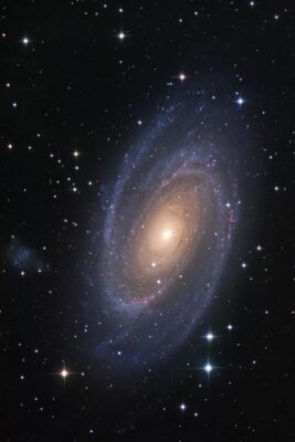 Read more about the article M 81