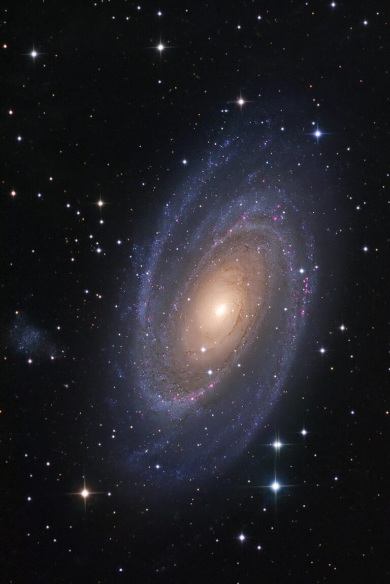M 81