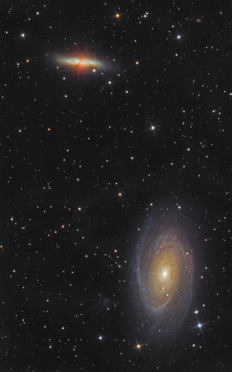 M 81