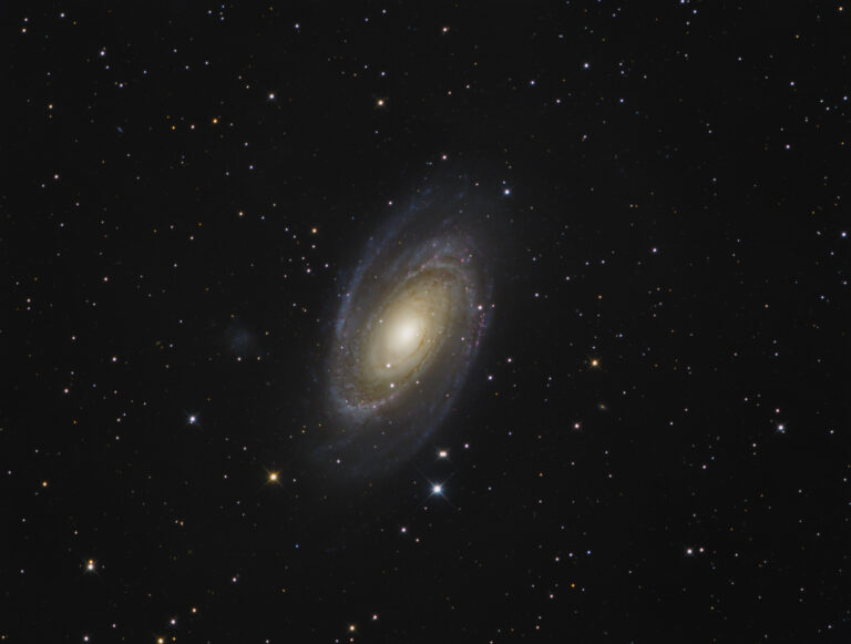 M 81