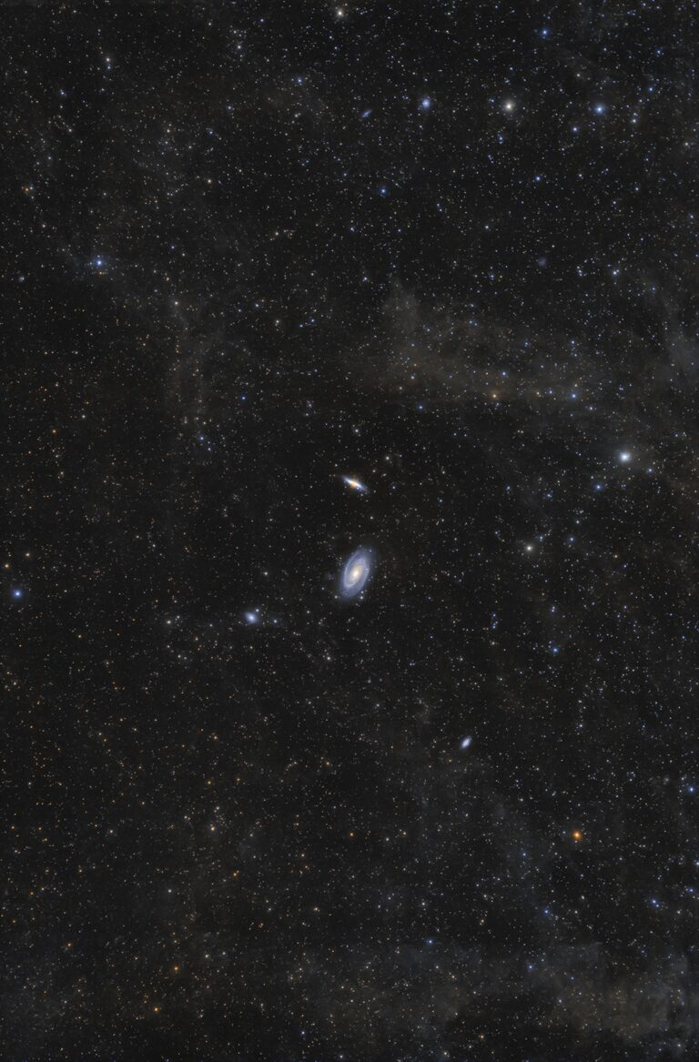 M 81