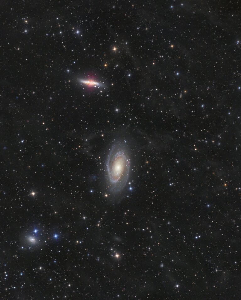 M 81