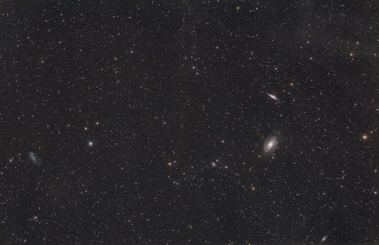 M 81