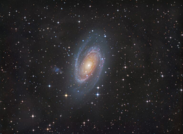 M 81